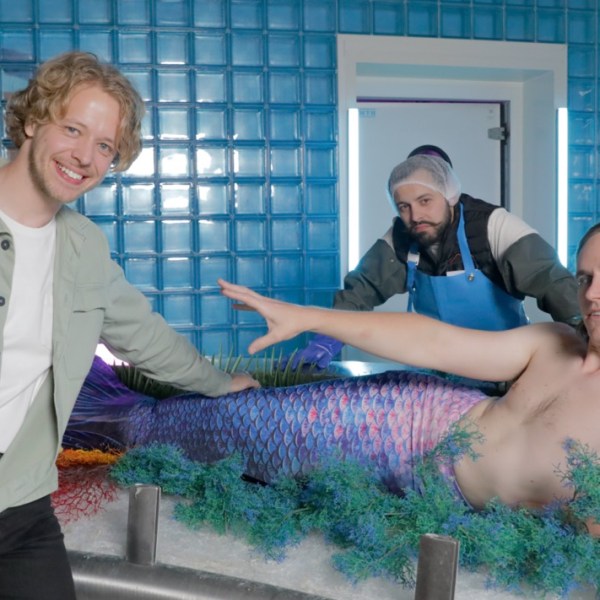 Et c&rsquo;est une fin de tournage du clip &laquo;&nbsp;16€32&nbsp;&raquo; des Space Alligators&nbsp;!